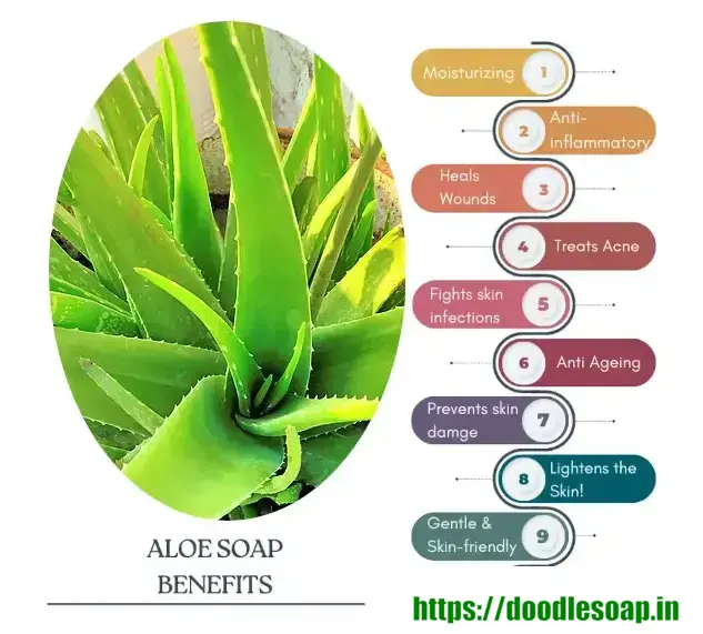 benefits of aloe vera soap