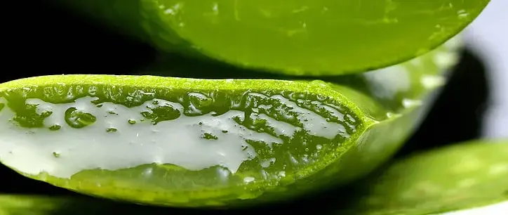 Aloe vera Soap Benefits