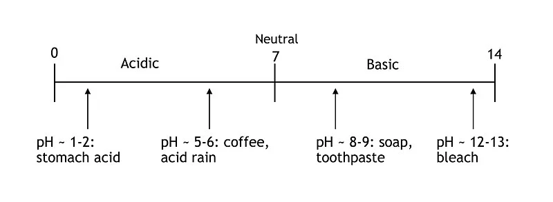 pH levels of common items