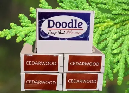 cedar soap benefits